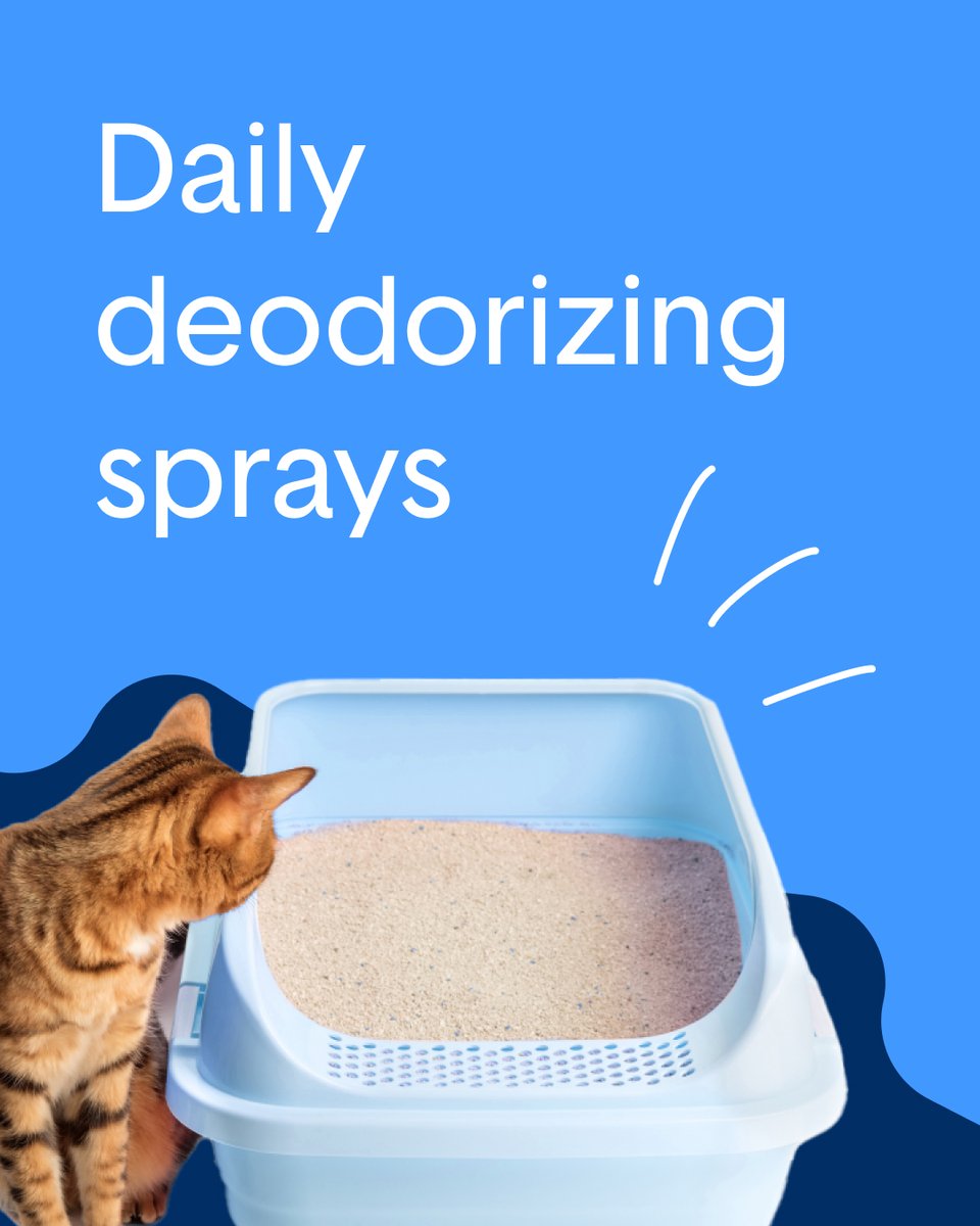 HelloBoxiecat's tweet image. Hello 2026 👋