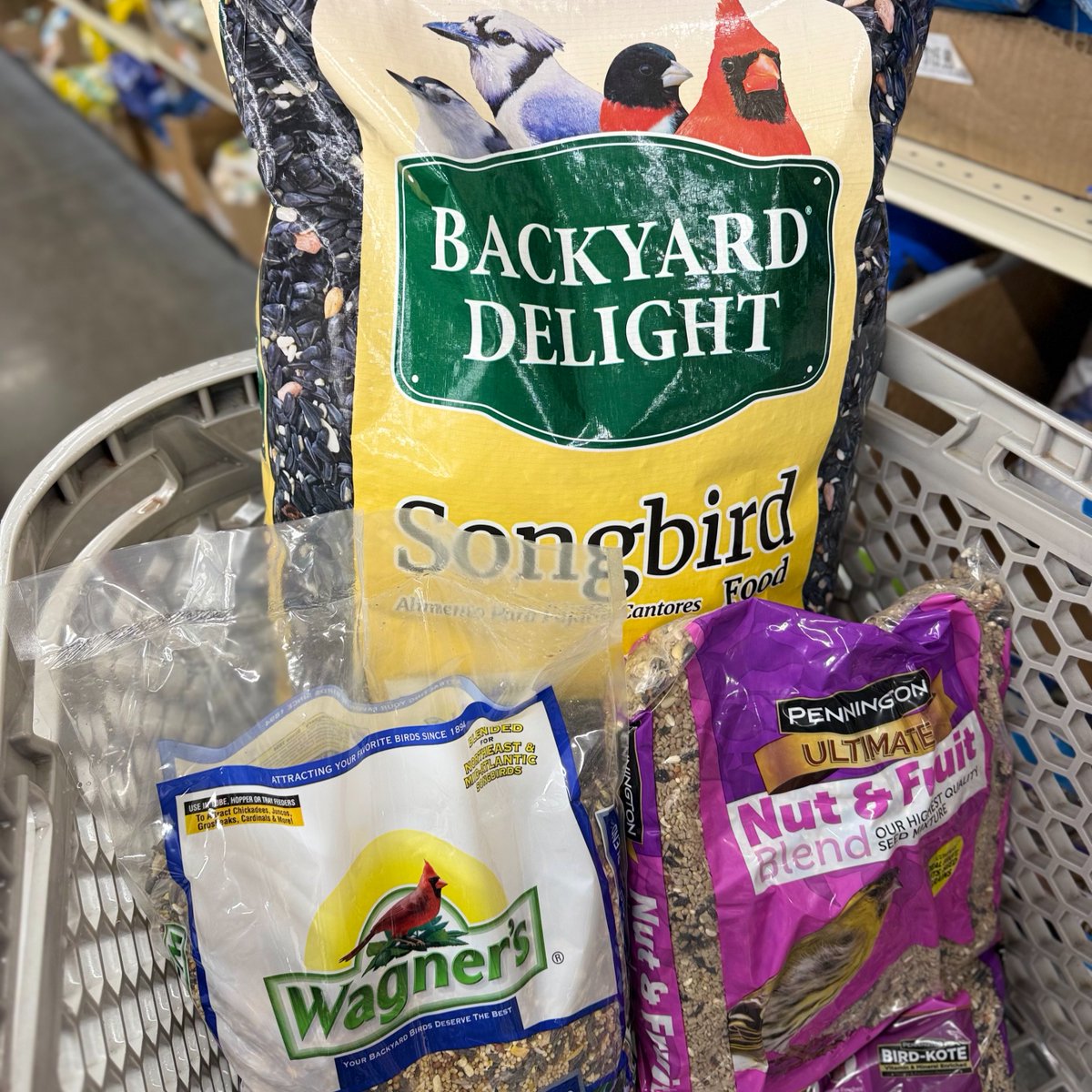 Ocean State Job Lot tweet media