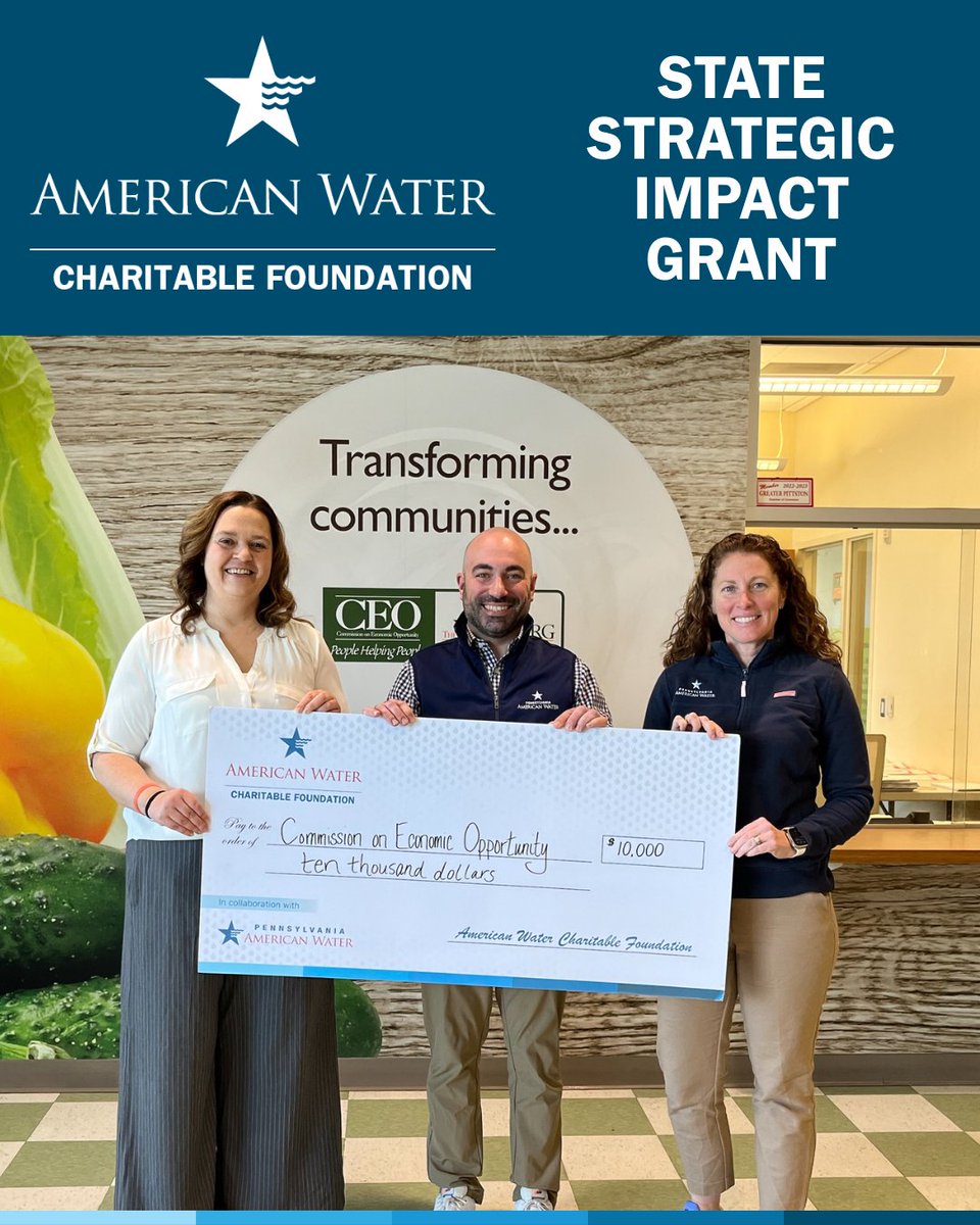 Muñecas Shimmer Juguete Portátil Cocomelon Sing And Learn Para Niños, Luces  | Cuotas Muñecas Shimmer Y Shine, image size:960x1200