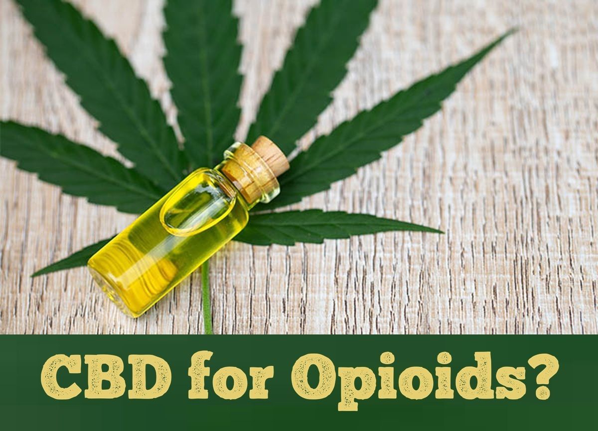 Chris Aiken, MD tweet media