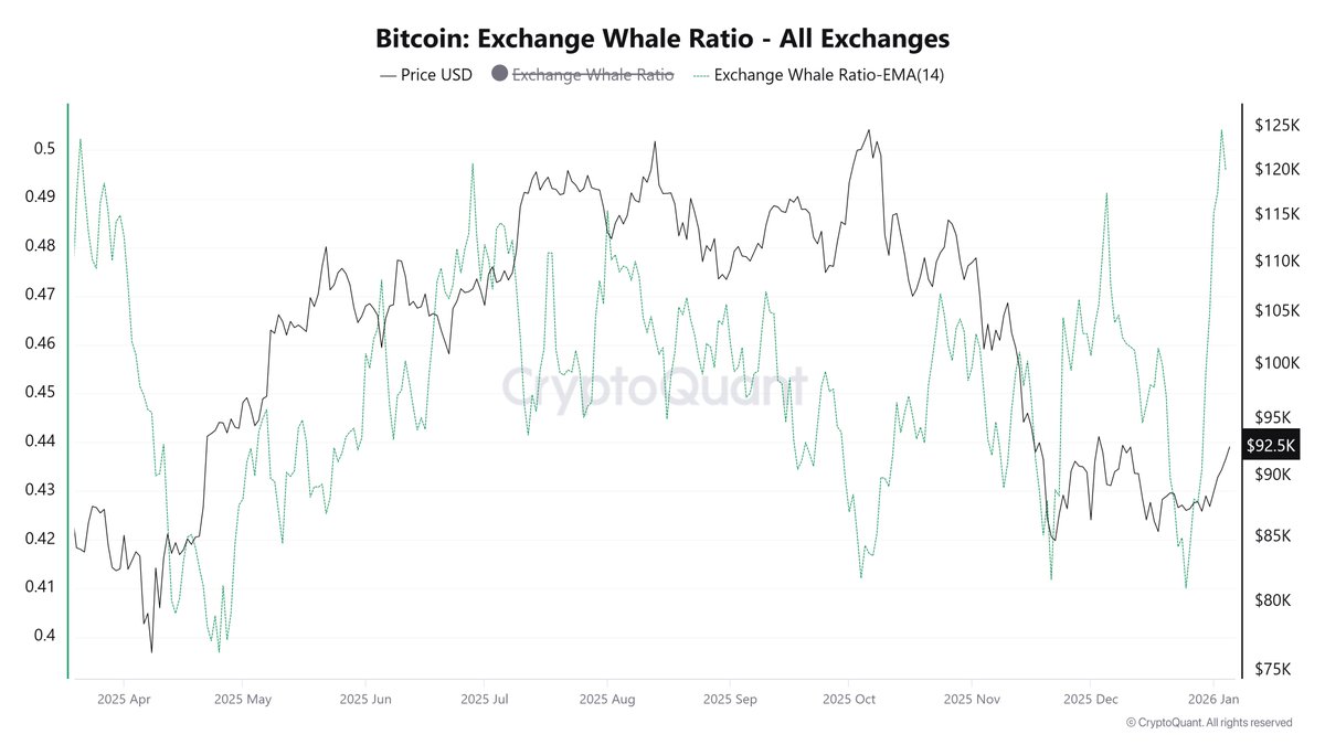 All Exchanges Whale Ratio EMA-14 hits 0.504, the highest level in ~10  months ⚠️ This indicates whales dominate BTC inflows, increasing potential  selling pressure 🐋 Broad-based inflows across all exchanges suggest  systemic,