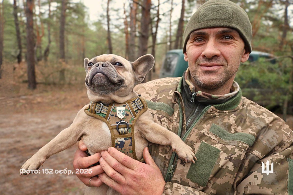 Defense of Ukraine tweet media