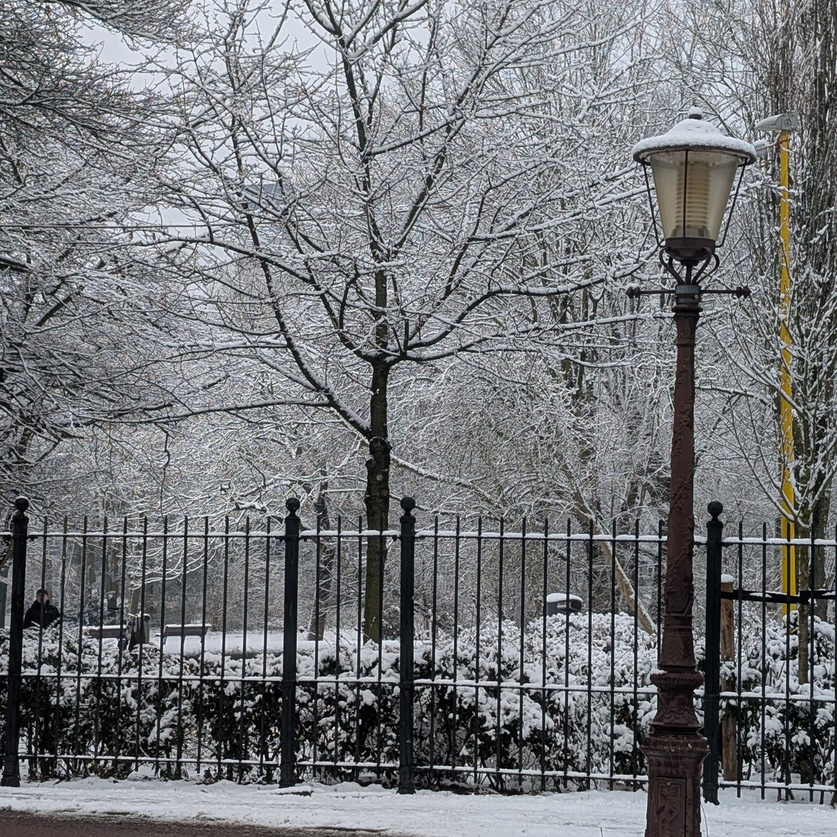 بُشرآ tweet media