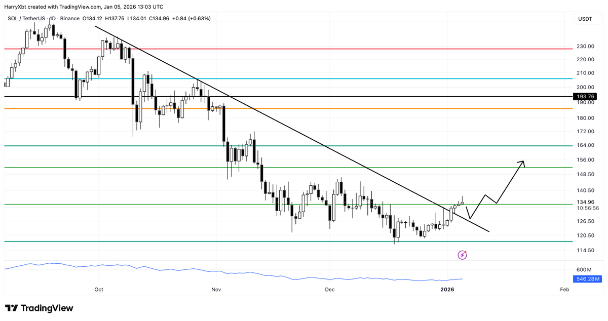 Harry 🍔 tweet media