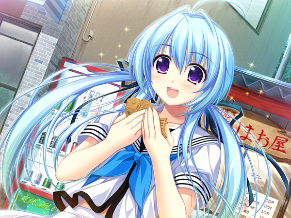 プレイしたことあるエロゲ №194 「置き場がない!」 ブランド：あかべぇ