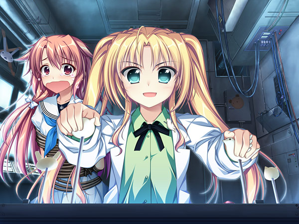 プレイしたことあるエロゲ №194 「置き場がない!」 ブランド：あかべぇ