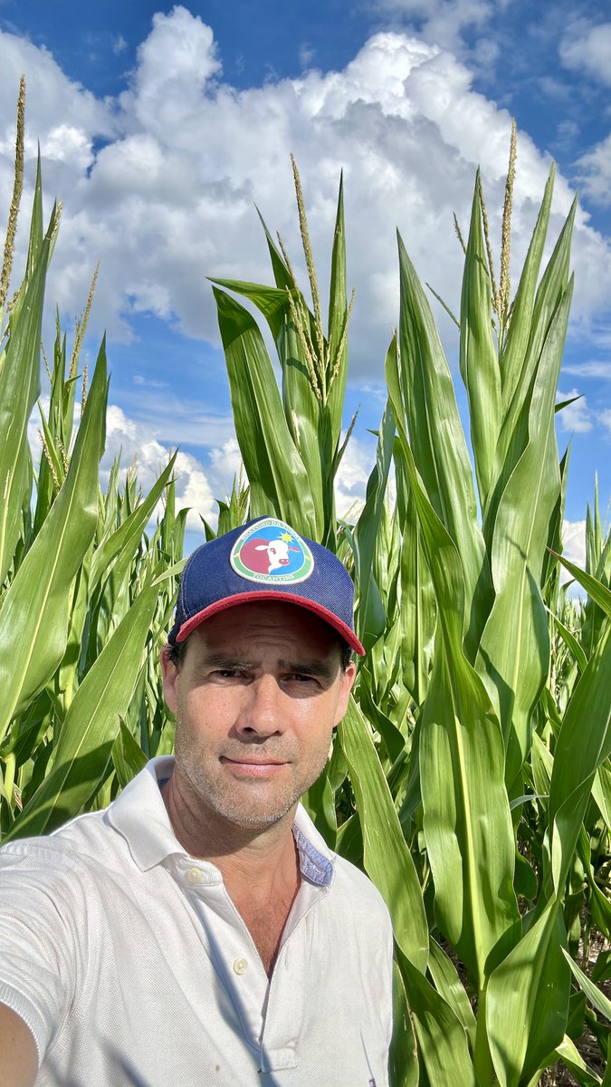 AgroConceptos's tweet photo. 🚀 Post de Apertura 2026: AgroConceptos
Aprender. Hacer. Compartir.

En agronomía, lo que no se prueba en el lote, no existe. Lo que no se mide, no enseña. Y lo que funciona, se comparte.

En 2026 redoblamos la apuesta:

🌱 Más campo.

📊 Más datos.

🧠 Mejores decisiones.

🤝 Menos relato, más práctica.

Arrancamos 💪

Diego
