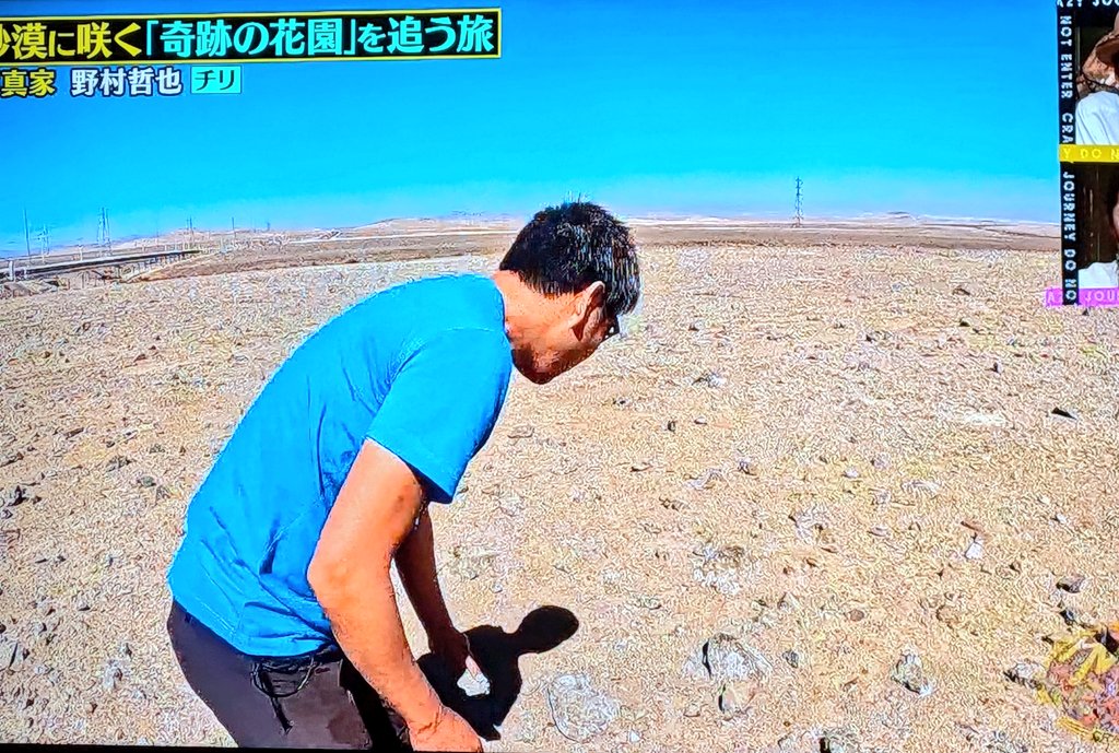 楽しみにしてました🥹