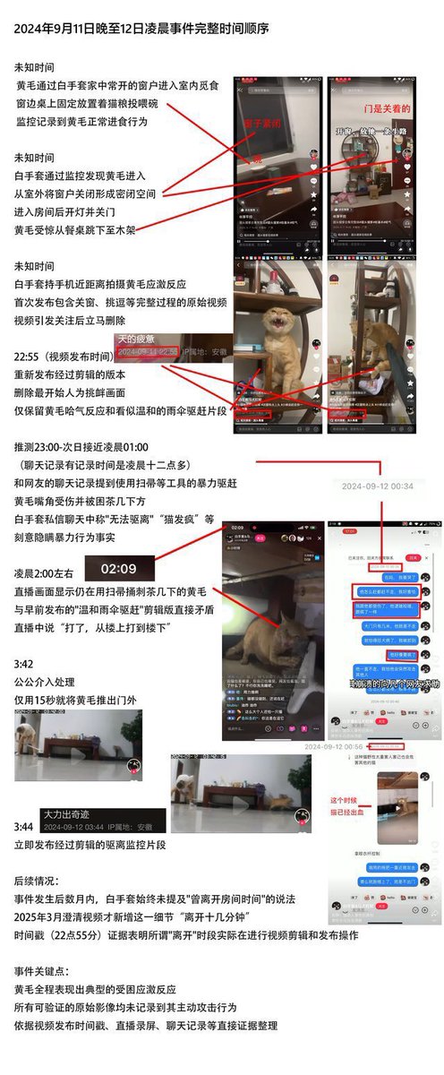 NoCatsNoLife_m's tweet image. For those who don’t know, he is a poor cat being abused in China 🇨🇳 
Although he is popular on social media, he is not happy.