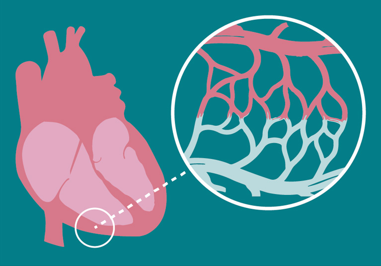 Why we may be facing a tsunami of cancer diagnoses. Please read this week's post.

SPED (Spike Protein Endothelial Disease) and Cancer: Microvascular Endothelial Dysfunction Appears, on Average, Years Before Cancer Diagnosis and Indicates Increased Risk

The Spike Protein’s