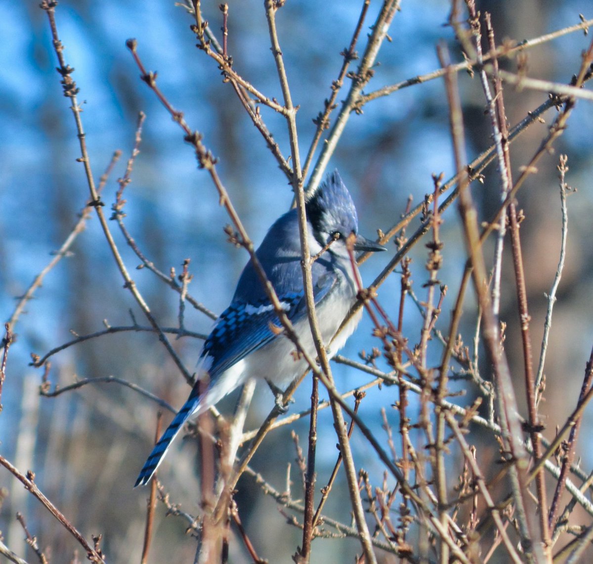 Brian Wagner tweet media