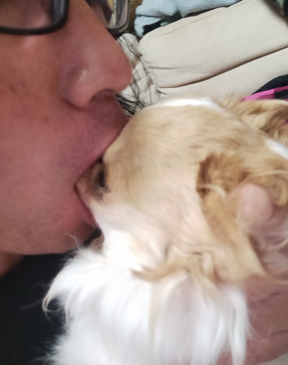echigoyamoke's tweet photo. やっとpcがネットに繋がった！
玉緒さんに喜びのキスをしてあげましょう💋 https://t.co/TNcXwMFFoV