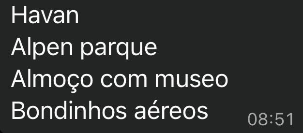 fjkriok's tweet photo. pov: sua familia é de direita vcs estao viajando e eles mandam a programaçao do dia de hj https://t.co/t888o78aVb