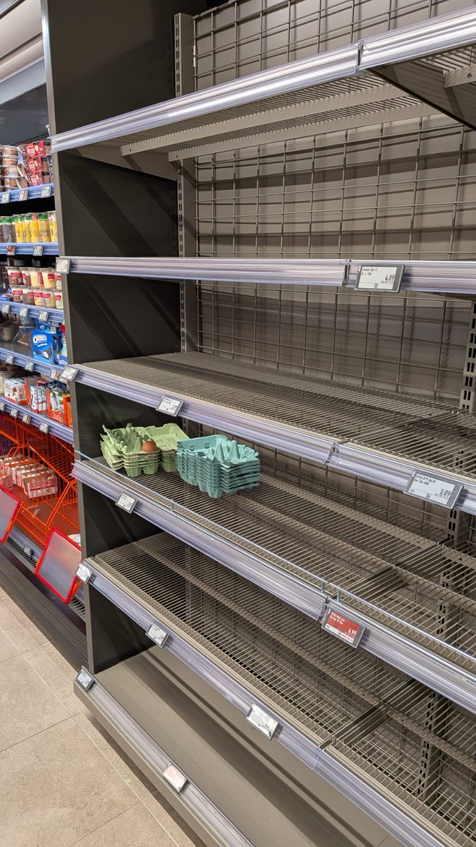 Lukas | 🌐 tweet media