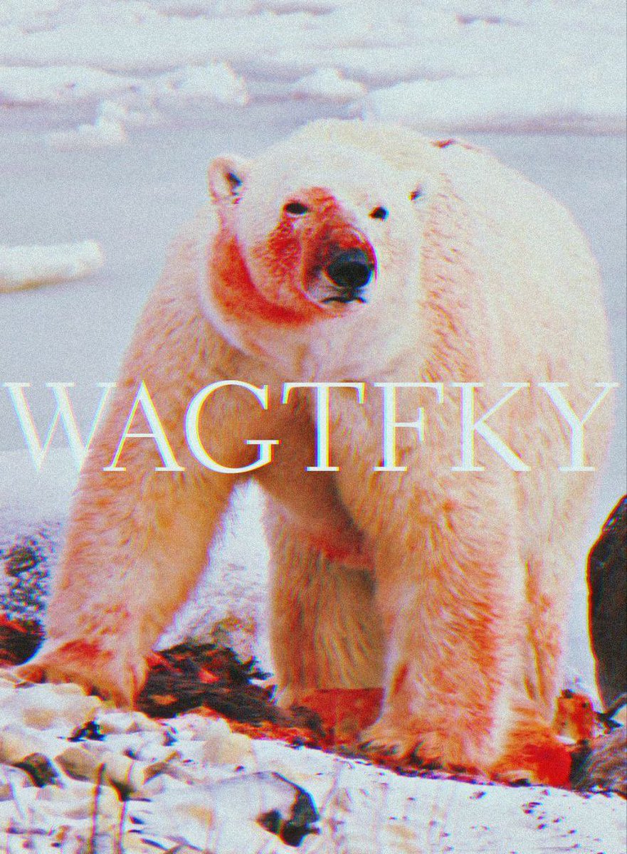 wayofftheres's tweet image. Good. Let’s see how this ends.