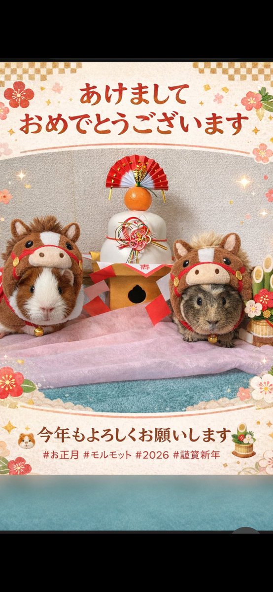 hanyapi3's tweet image. あけましておめでとうございます。今日、娘さんと破魔矢を神社に返しに行きました。もう、買うのやめようかと思いきやまた買ってる…