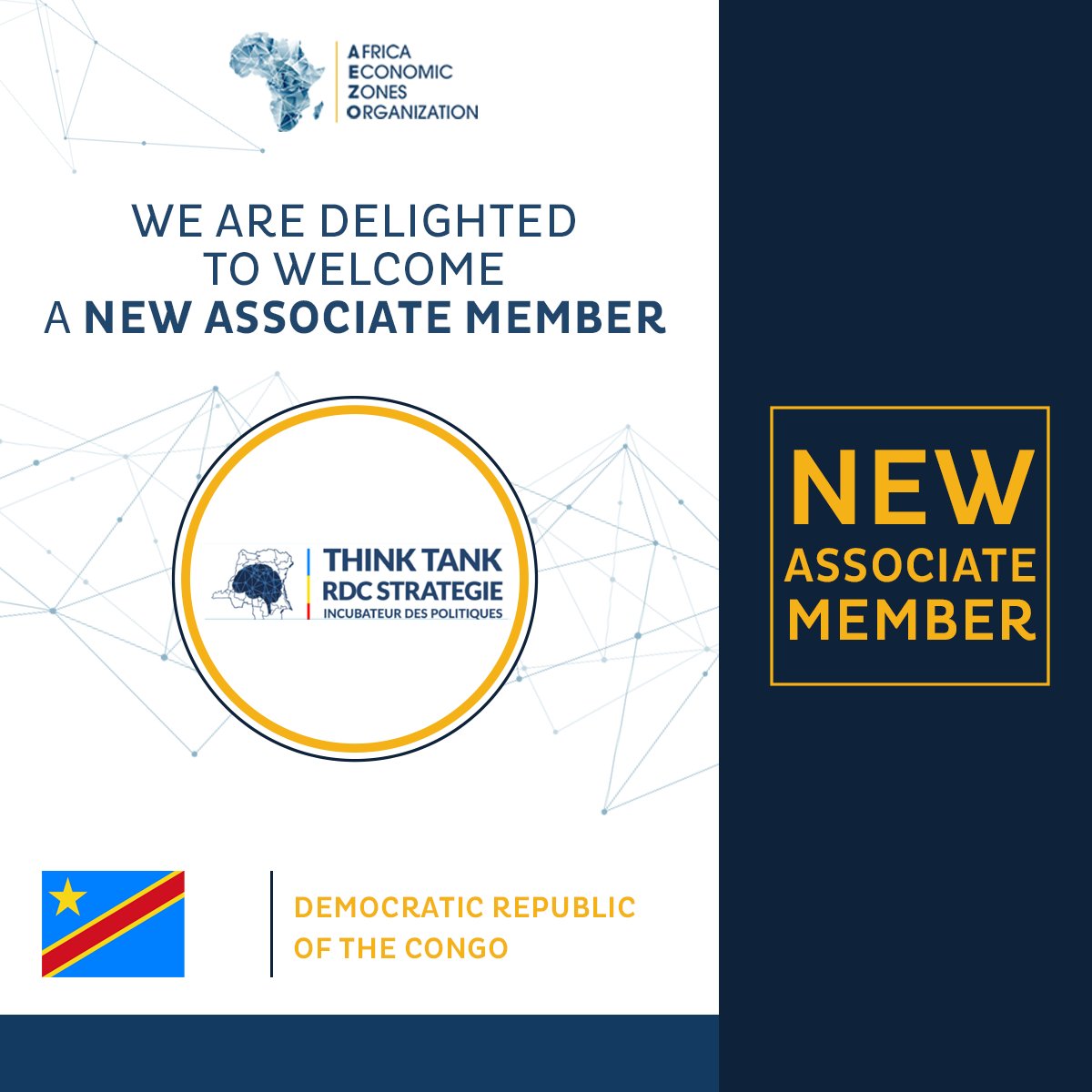 Africa Economic Zones Organization tweet media