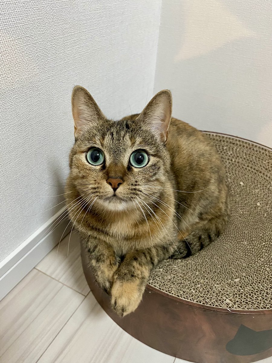 松下陽祐(OKOJO) (@matsushitaaa) / Posts / X