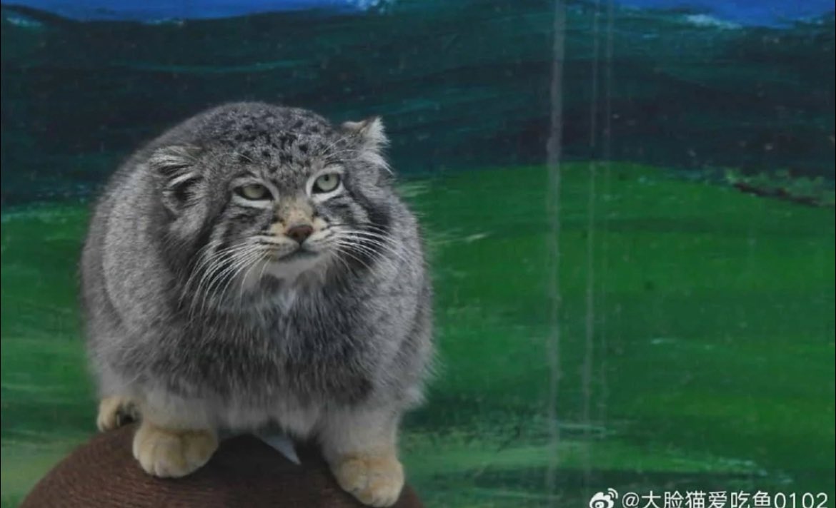 Am 13.1 bekomme ich meine Kündigung :D 
Endlich frei von dieser Firma