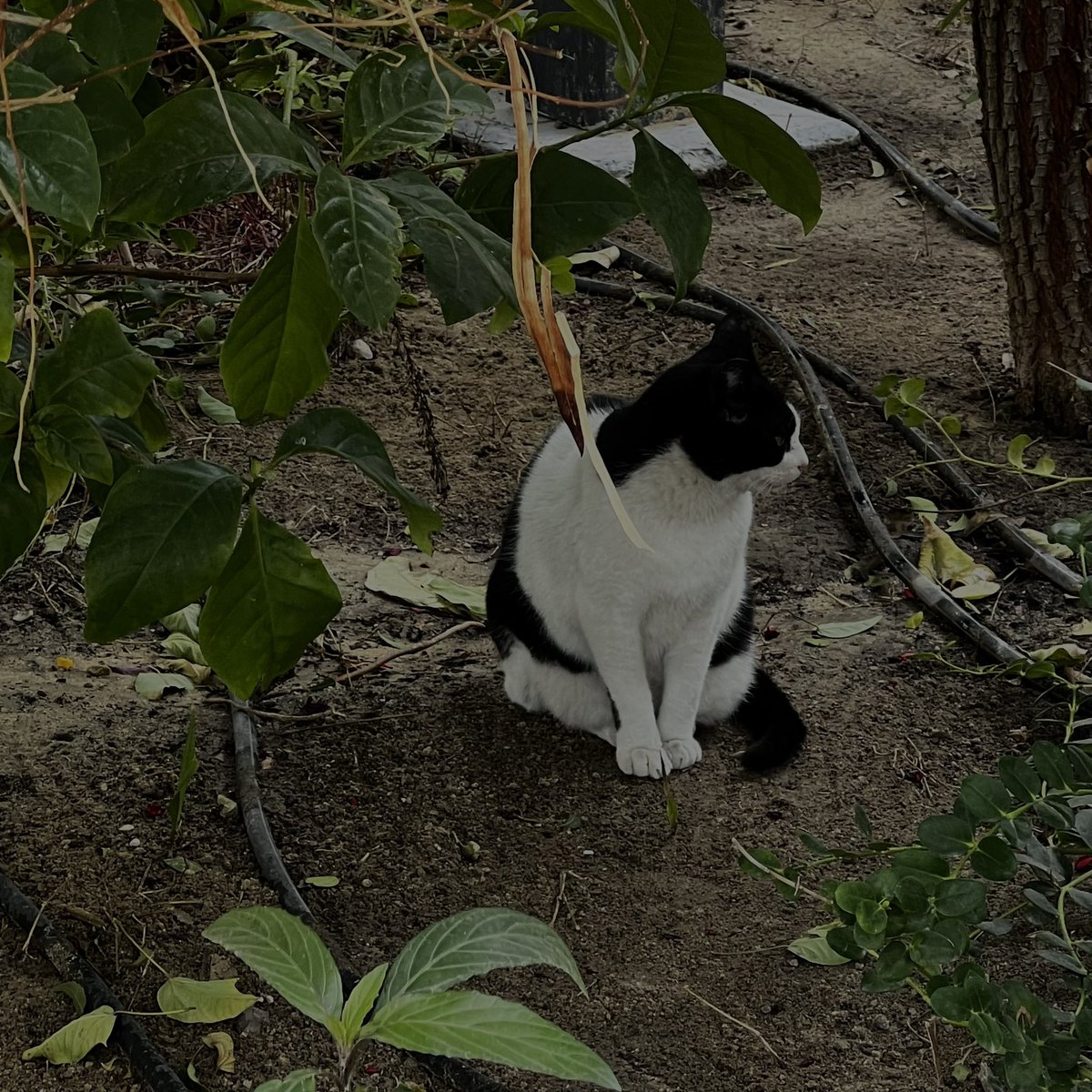 All93R's tweet image. 𝘔𝘰𝘯𝘥𝘢𝘺 𝘷𝘪𝘣𝘦𝘴☝🏿