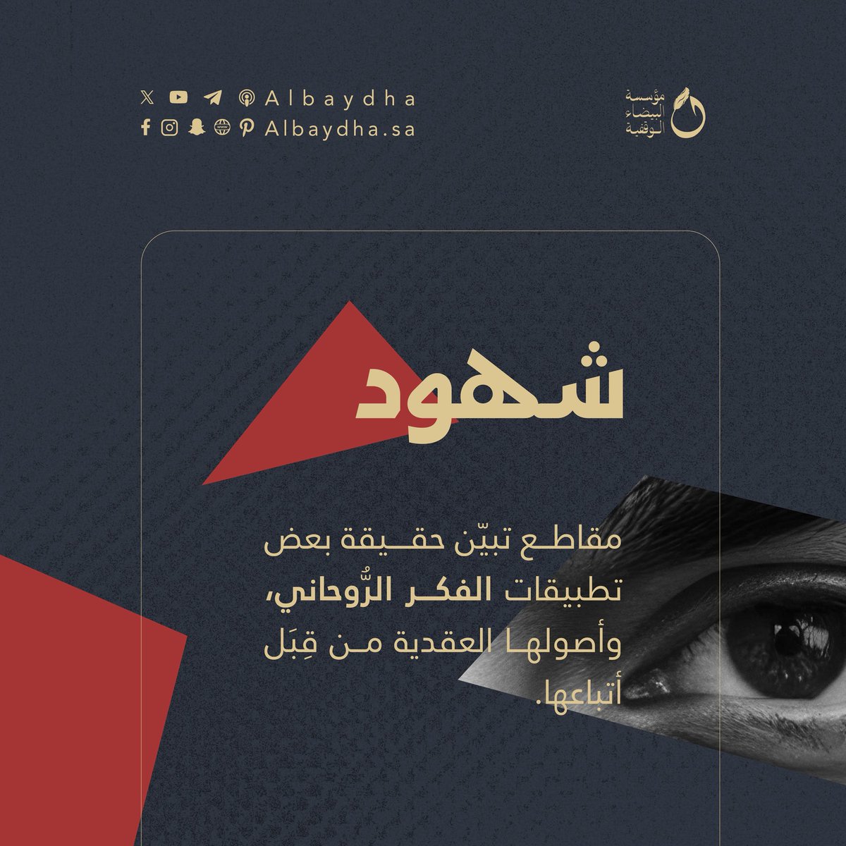 البيضاء tweet media