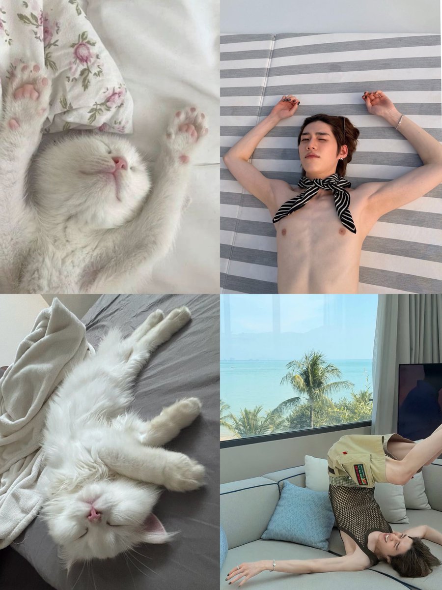 เหมียวๆนี่นา ㅠㅠ ㅠㅠ ㅠㅠ ㅠㅠ ㅠㅠ ㅠㅠ ㅠㅠ ㅠㅠ ㅠㅠ ㅠㅠ ㅠㅠ ㅠㅠ ㅠㅠ ㅠㅠ ㅠㅠ