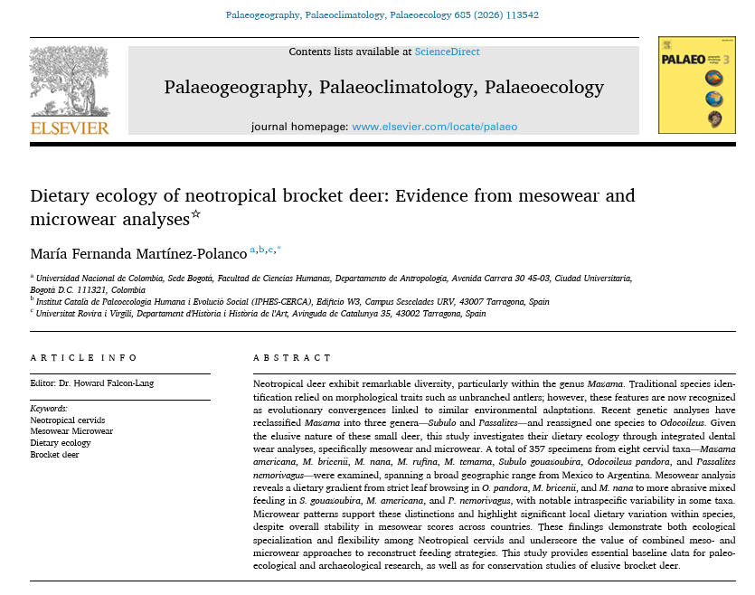 María Fernanda Martínez-Polanco tweet media