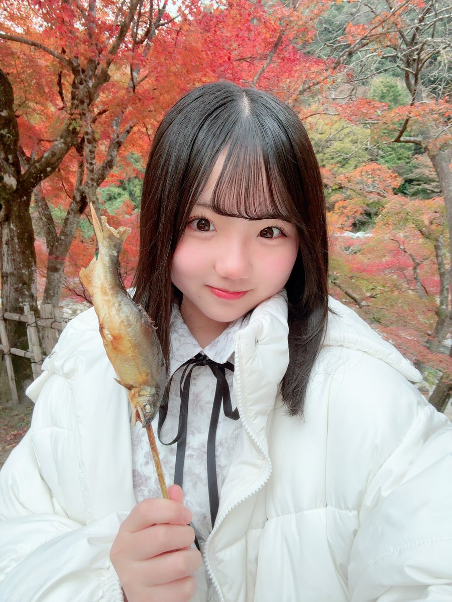 めいさ (@start_meisa) / Highlights / X