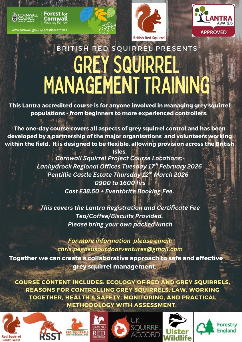 Red Squirrel South-West tweet media