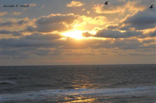 Jennifer Erin Valent 🇺🇸🇺🇦 tweet media