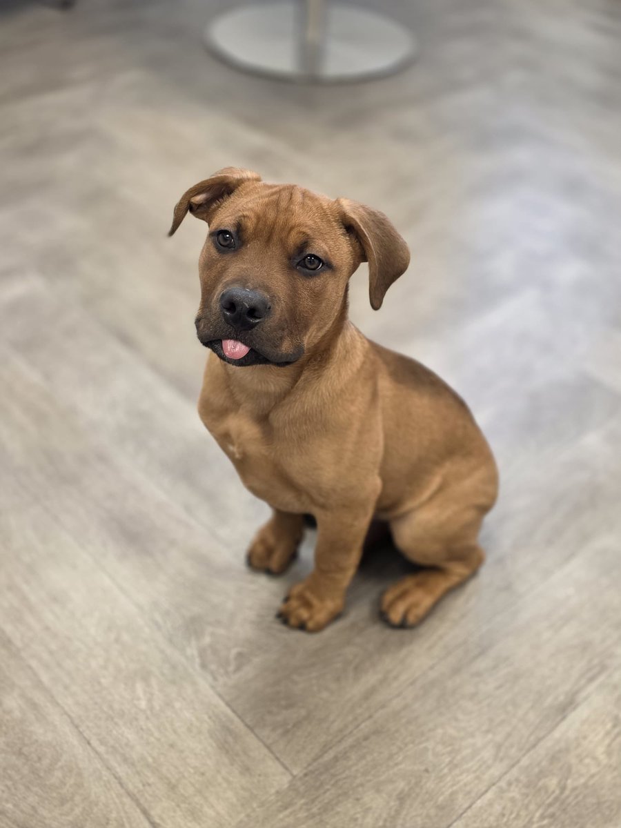 PrometheusKid's tweet image. Bros a model 😝