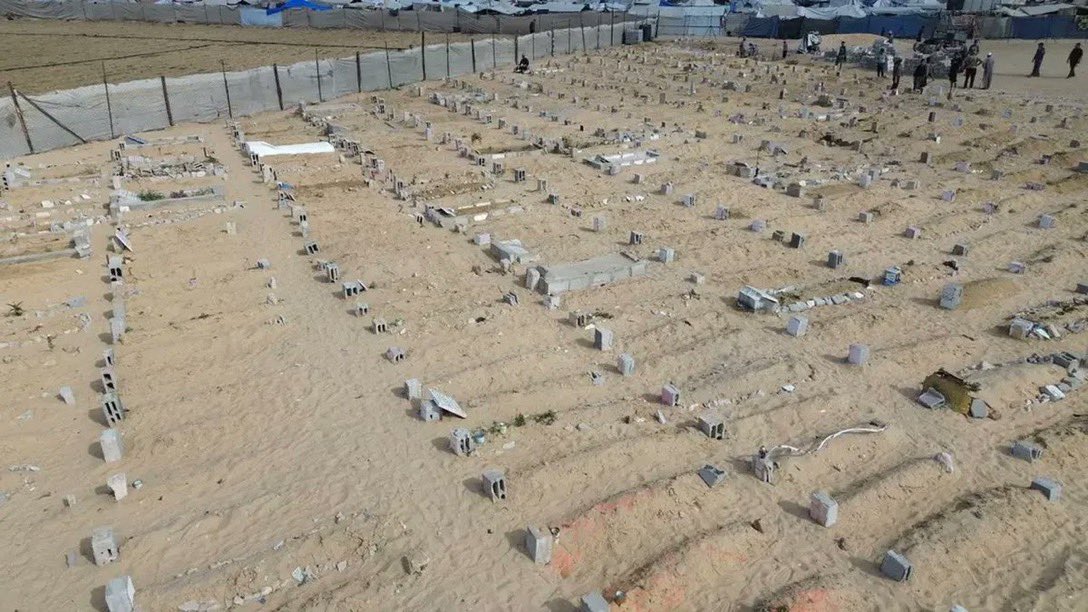 Sarah Wilkinson tweet media