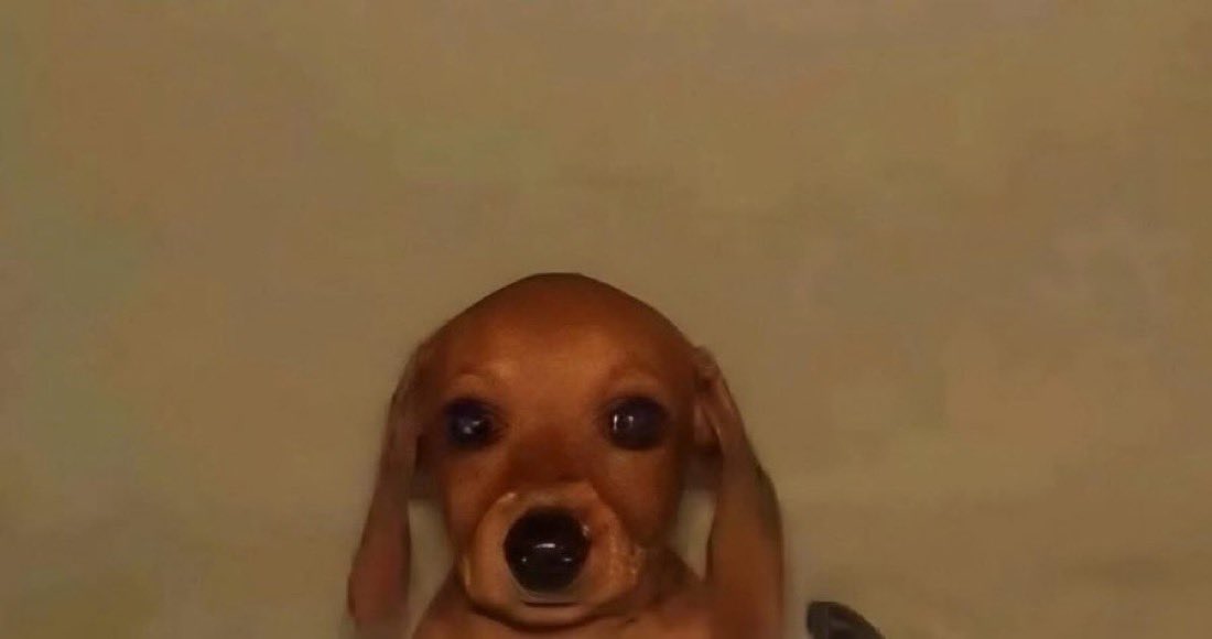 𝐀𝐥𝐞𝐱 🐺 tweet media