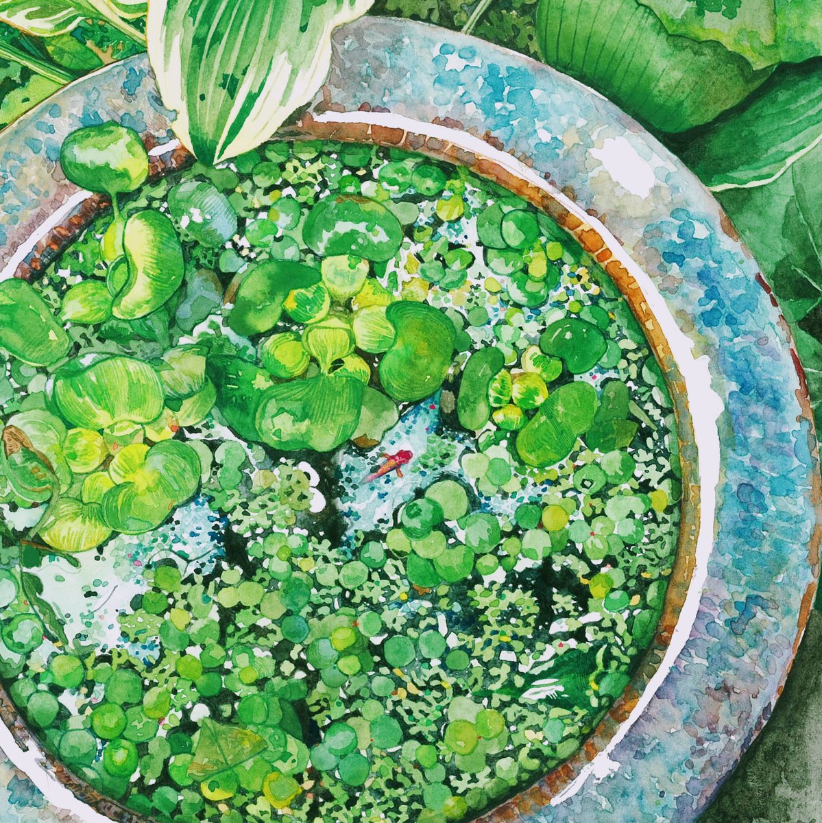 きらめき
#水彩イラスト #illustration