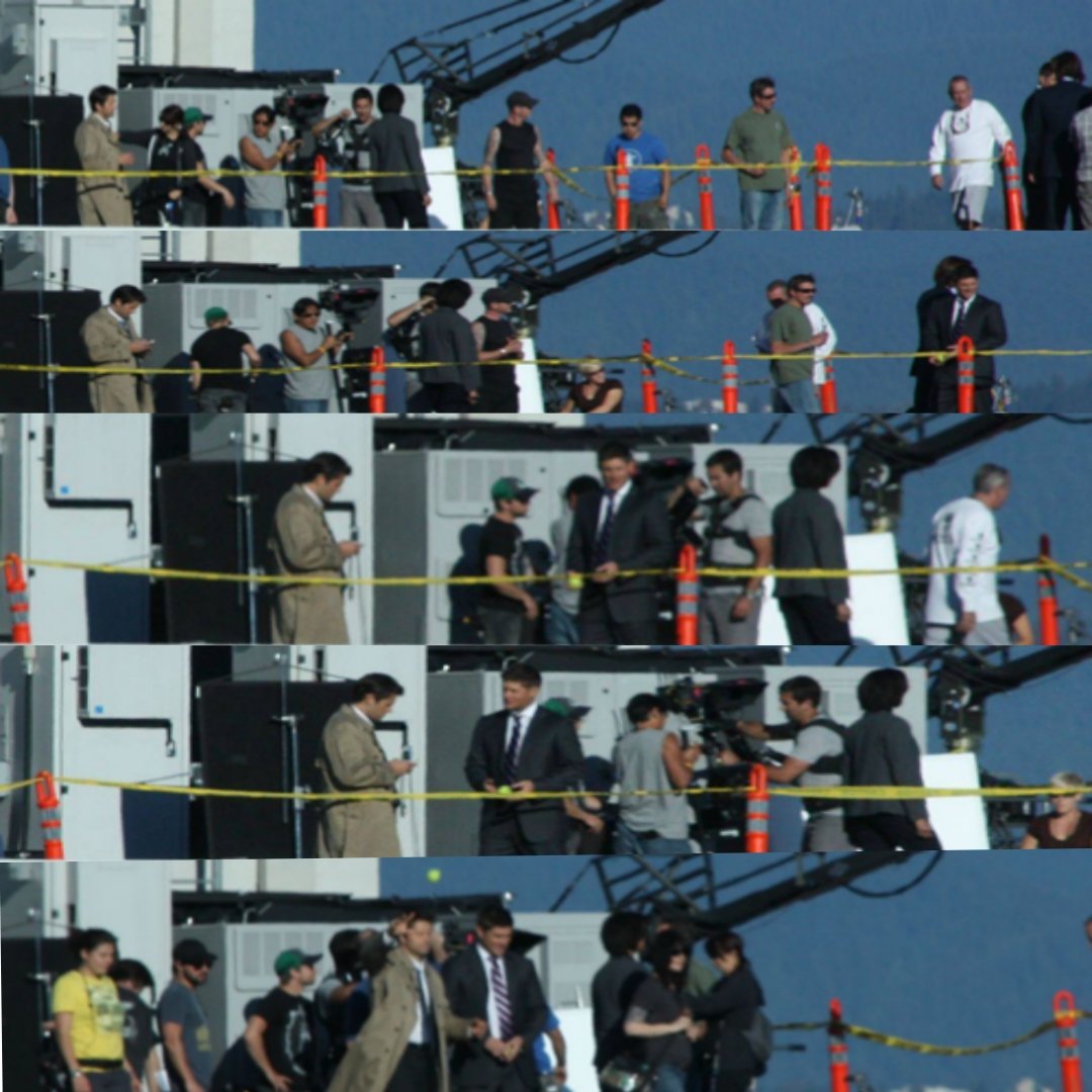 pig_in_a's tweet image. omega suffering from separation anxiety