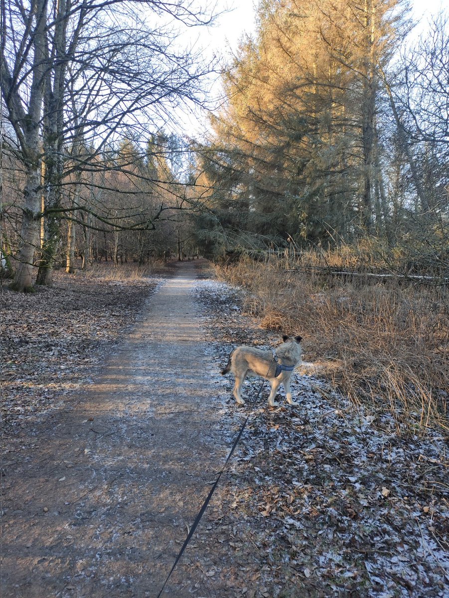 The Jackster missing Victordog1🌈🌈💔 tweet media