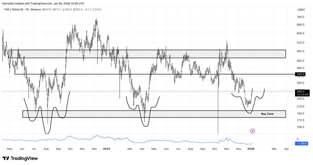Harry 🍔 tweet media