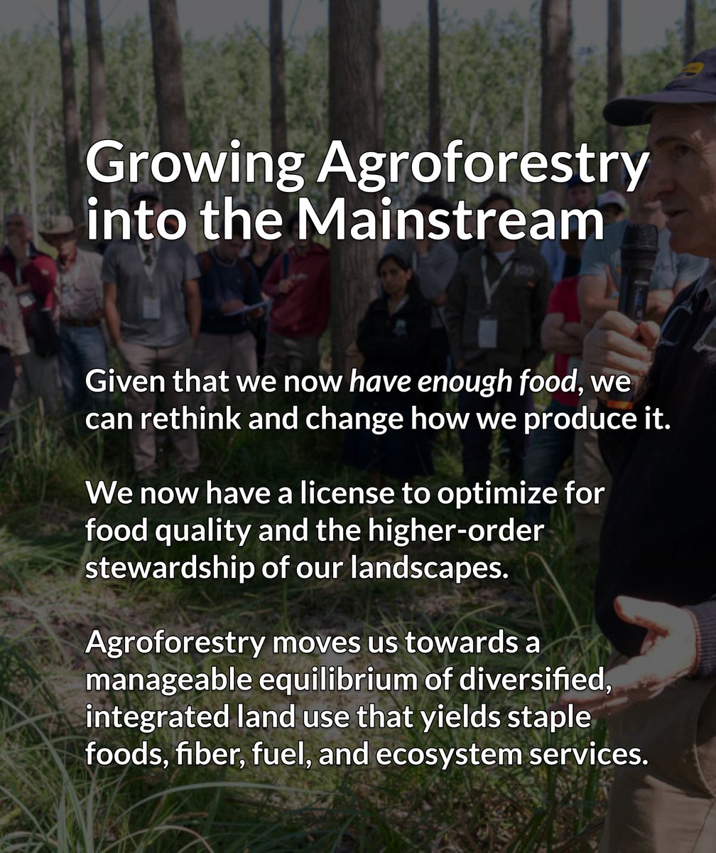 Propagate tweet media