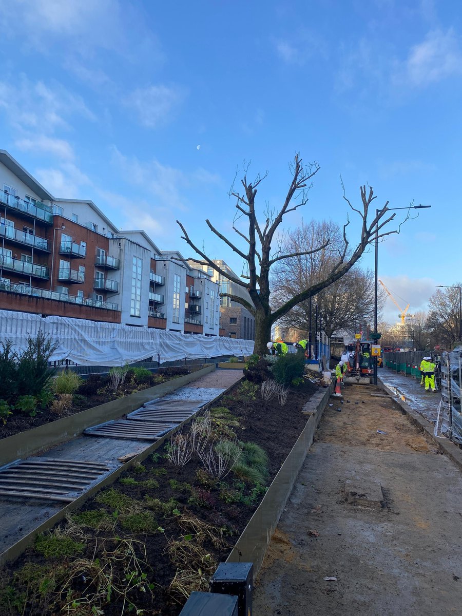 Meristem Design tweet media