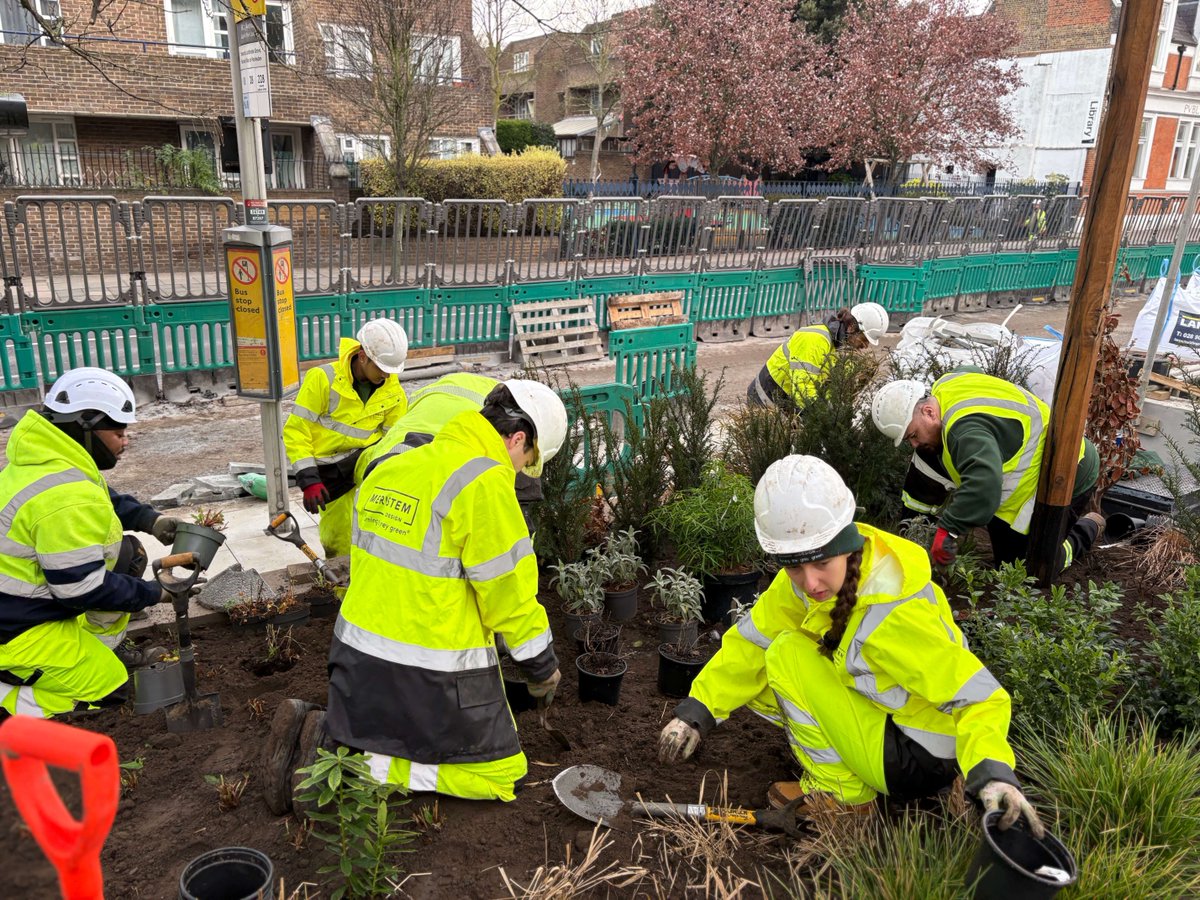 Meristem Design tweet media