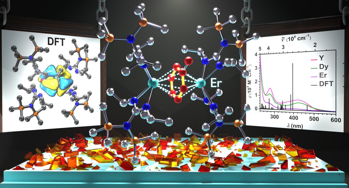 Selly Demir tweet media