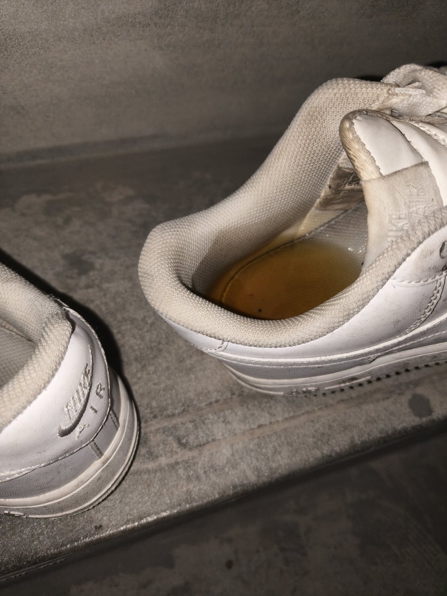 Kit_FR_S tweet media