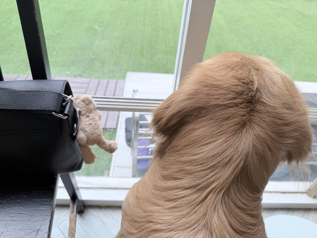 bao2you's tweet image. Starting the 1st business day for the 2026 (season 5 in X) in the office with BamBam’s music 
Always “WONDERING” by BamBam

เริ่มวันทำงานวันแรกของปี 2026 (ซีซั่น 5 ที่ X) ในออฟฟิศด้วยเพลงของแบมแบมเลย!

2026년 (X 시즌 5) 첫 영업일, 사무실에서 뱀뱀 음악 들으며 시작!

#bambam