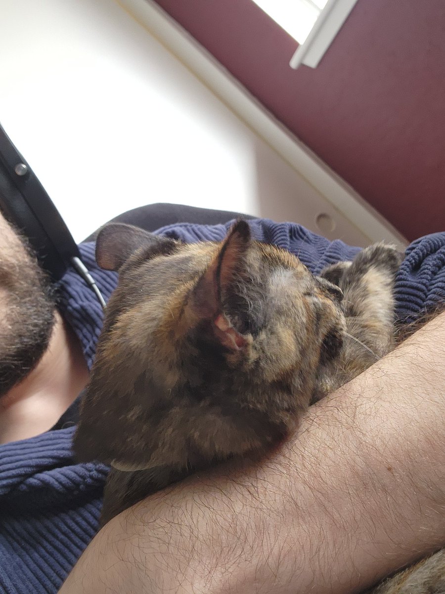 billy ray gribonius tweet media