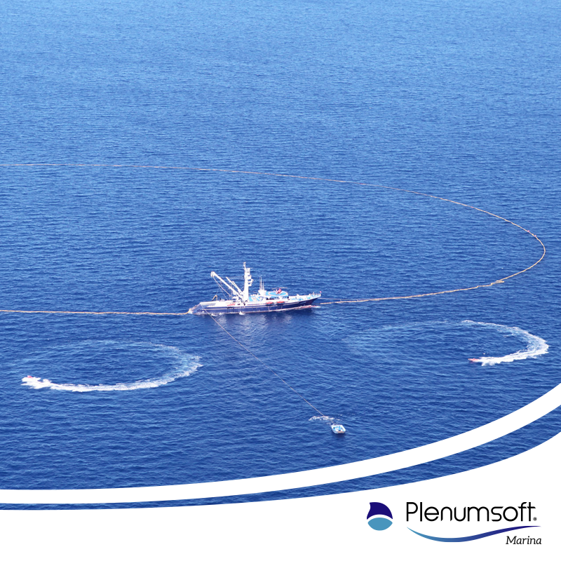 Plenumsoft Marina tweet media