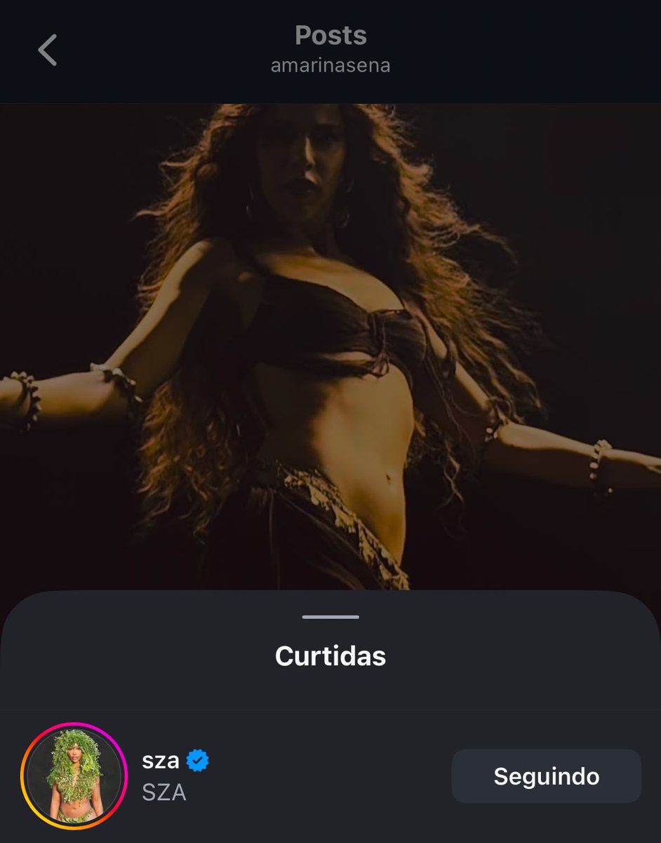 marinasenacervo's tweet image. 🚨SZA anda curtindo as publicações de marina sena no instagram! podemos sonhar com um feat? 👀