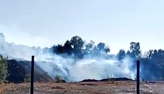 2016cruce's tweet image. ✅ Bomberos de varias comunas y brigadas de Arauco trabajaron en incendio al interior de Aserradero Arauco sector Pon - Pon comuna Mariquina.

#sjmq #Mariquina #valdiviacl #losrios