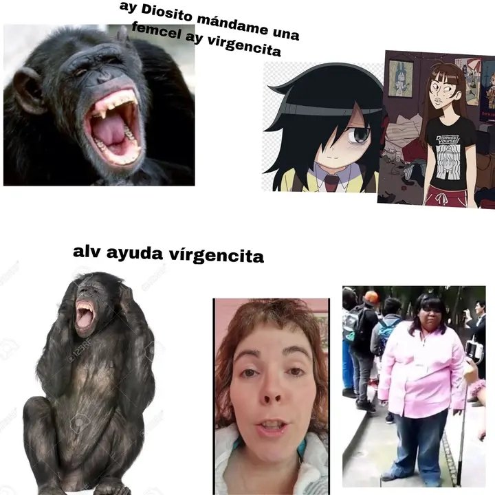 Snor 🐢 tweet media