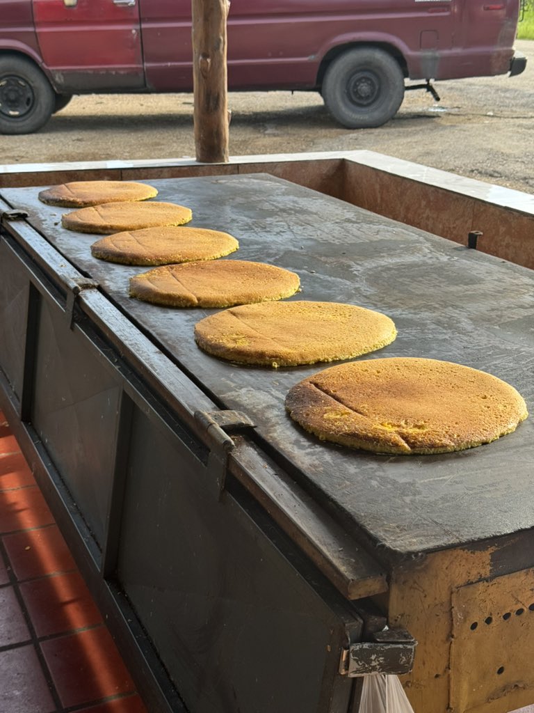 oscarantone's tweet image. 