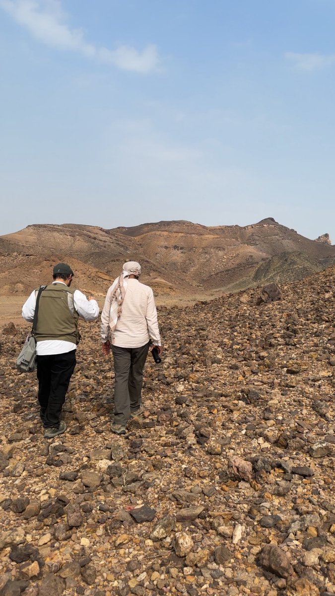 geo . Layan Alhendi tweet media